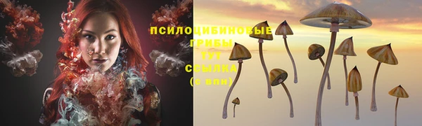 МДМА Каменногорск