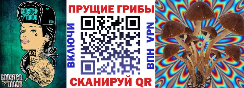 как найти закладки  Ясногорск  Псилоцибиновые грибы мицелий 